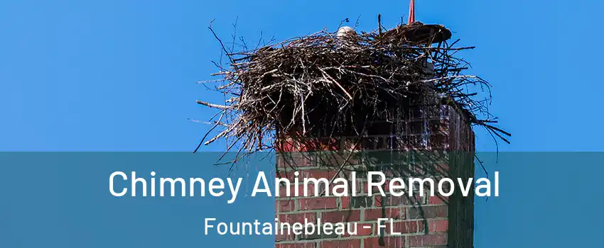 Chimney Animal Removal Fountainebleau - FL