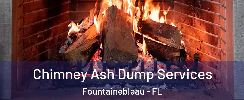  Chimney Ash Dump Services Fountainebleau - FL