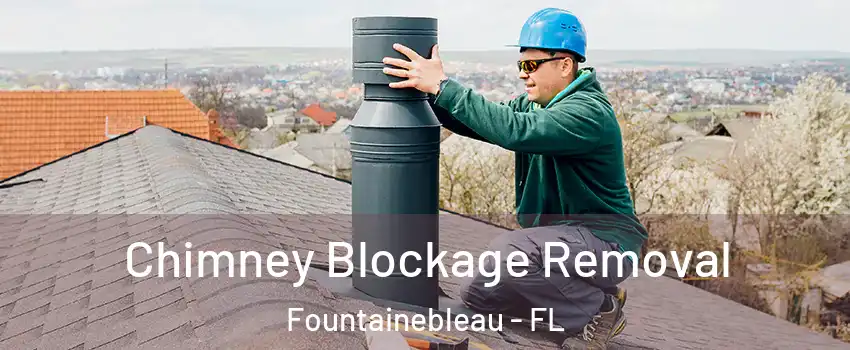  Chimney Blockage Removal Fountainebleau - FL