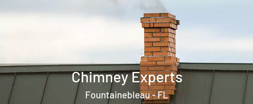 Chimney Experts Fountainebleau - FL