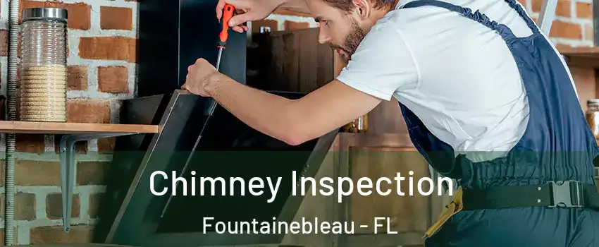  Chimney Inspection Fountainebleau - FL