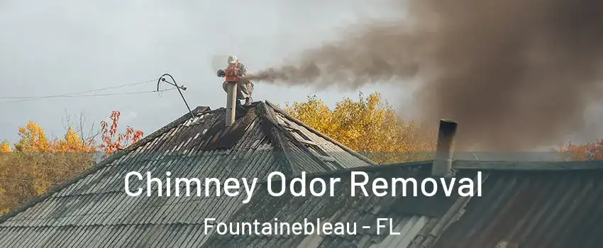  Chimney Odor Removal Fountainebleau - FL