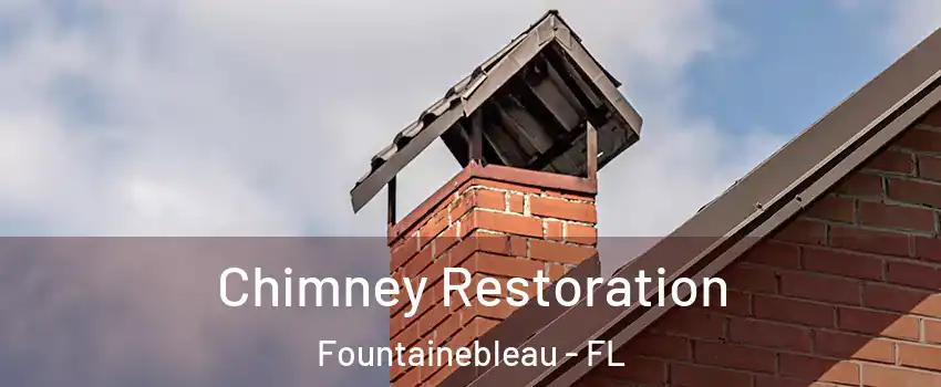  Chimney Restoration Fountainebleau - FL