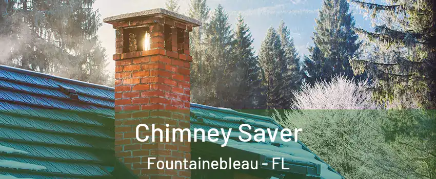  Chimney Saver Fountainebleau - FL