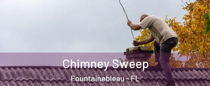  Chimney Sweep Fountainebleau - FL