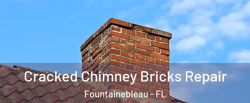  Cracked Chimney Bricks Repair Fountainebleau - FL
