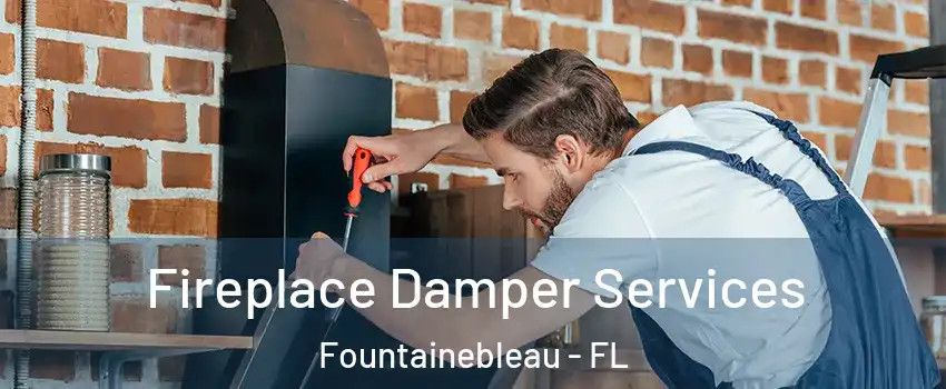 Fireplace Damper Services Fountainebleau - FL