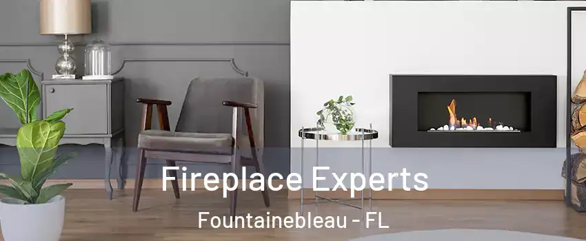  Fireplace Experts Fountainebleau - FL
