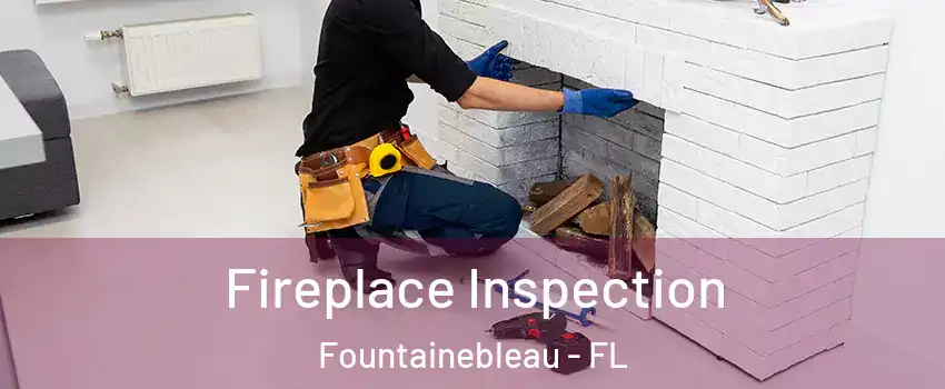  Fireplace Inspection Fountainebleau - FL