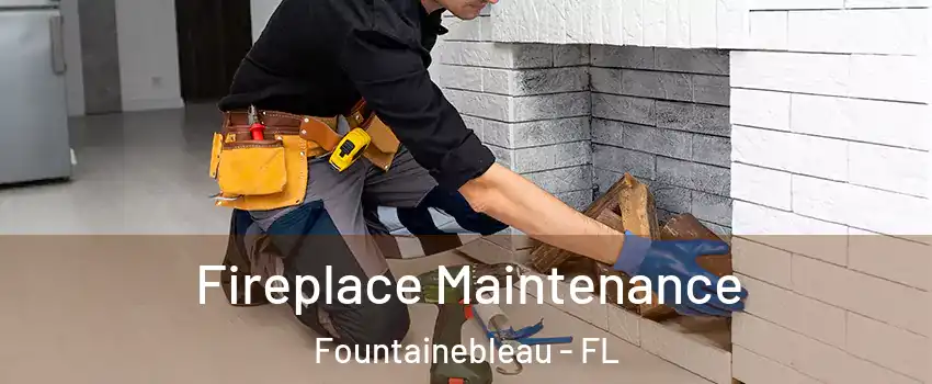  Fireplace Maintenance Fountainebleau - FL