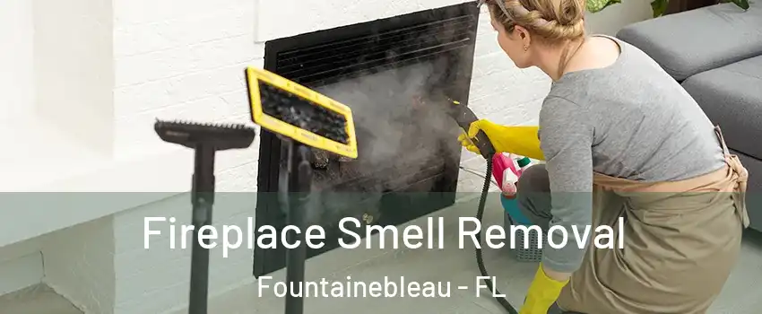  Fireplace Smell Removal Fountainebleau - FL