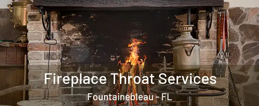  Fireplace Throat Services Fountainebleau - FL