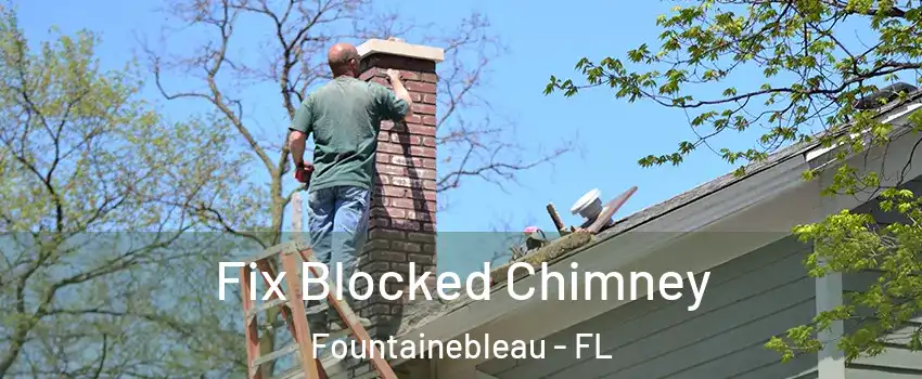  Fix Blocked Chimney Fountainebleau - FL