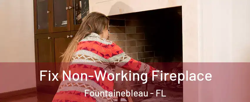  Fix Non-Working Fireplace Fountainebleau - FL