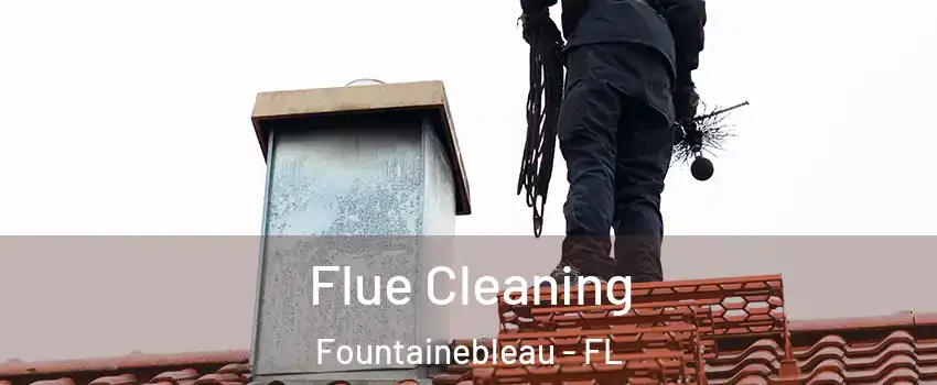  Flue Cleaning Fountainebleau - FL