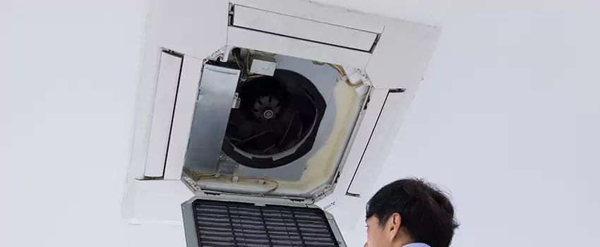 Benefits of Professional Air Duct Cleaning in Fountainebleau, Florida