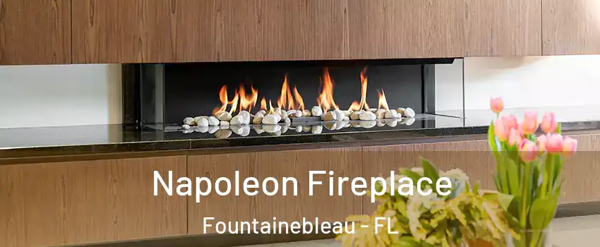  Napoleon Fireplace Fountainebleau - FL
