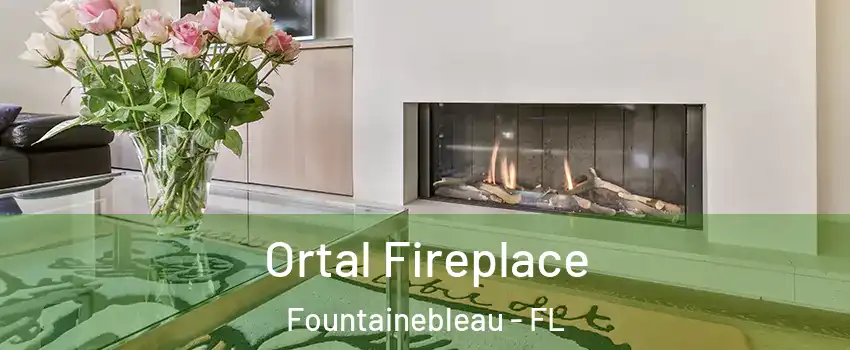 Ortal Fireplace Fountainebleau - FL